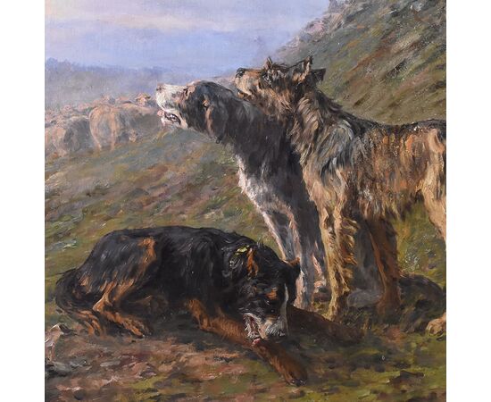 QUADRO ANTICO DI CANI PASTORI, MARIE CALVES,  DIPINTI DI CANI, XX SECOLO. (QA585)
