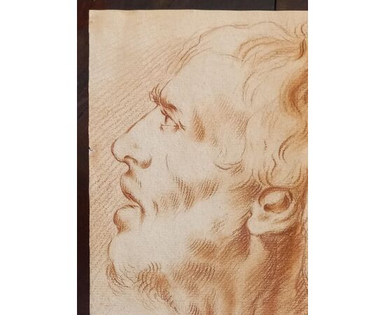 Disegno a sanguigna raffigurante testa di un vecchio