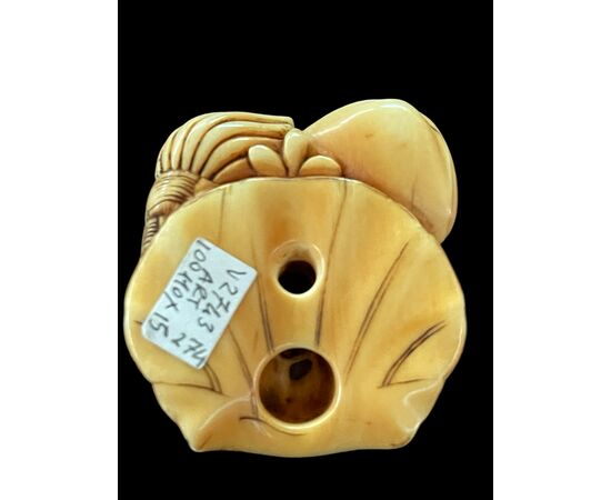 Netsuke in avorio raffigurante gruppo di conchiglie.Giappone.