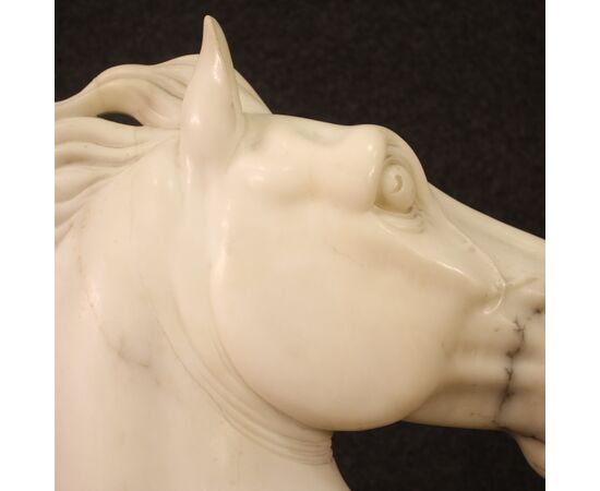 Scultura in marmo bianco testa di cavallo del XX secolo