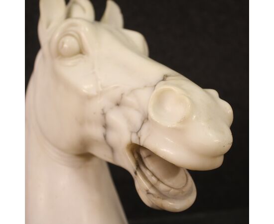 Scultura in marmo bianco testa di cavallo del XX secolo