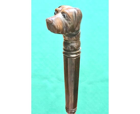 Walking stick with horn pommel depicting a dog&#39;s head. Rattan cane.     