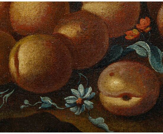 XVIII secolo, Nature morte con fiori e frutti