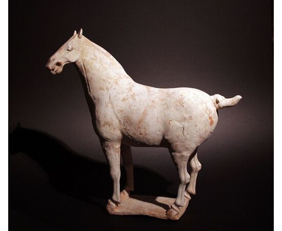 Cavallo in terracotta 