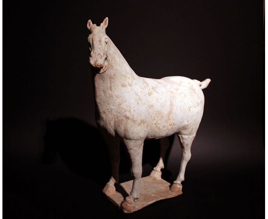 Cavallo in terracotta 