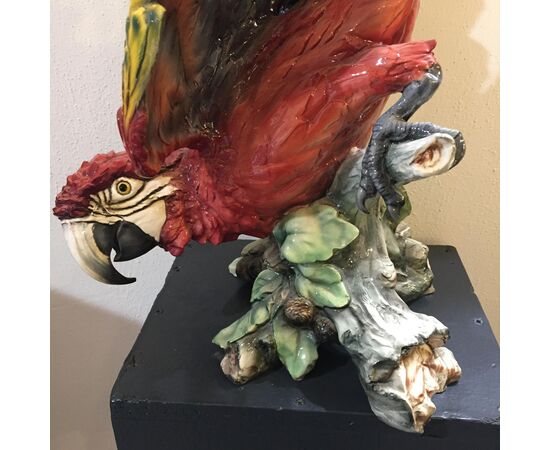 Large porcelain parrot, Tay, Giuseppe Tagliariol     