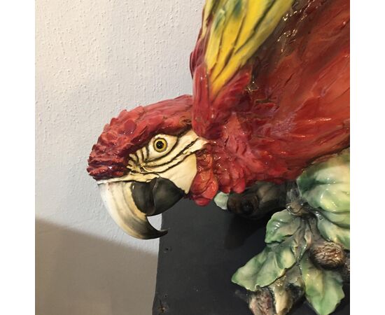 Large porcelain parrot, Tay, Giuseppe Tagliariol     