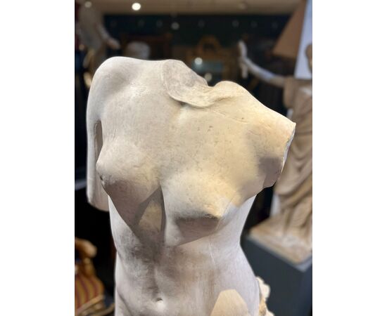 Torso di Venere 1930-1940