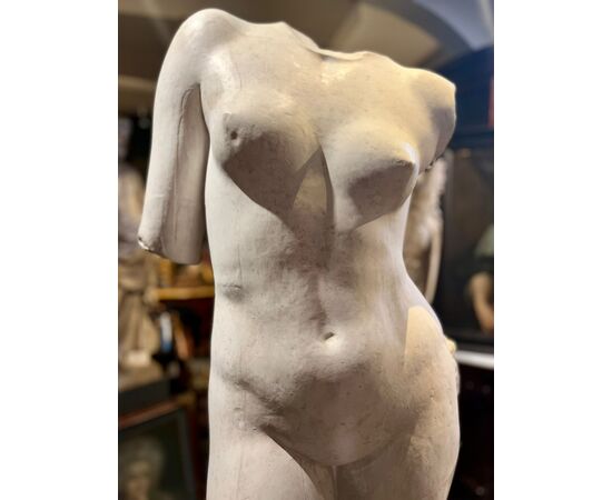 Torso di Venere 1930-1940