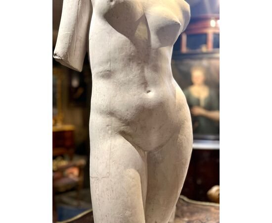 Torso di Venere 1930-1940