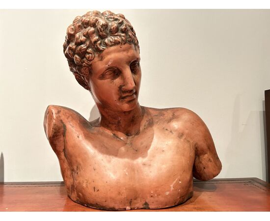 Grande busto di "APOLLO" in terracotta