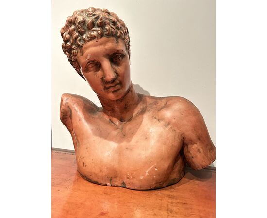 Grande busto di "APOLLO" in terracotta