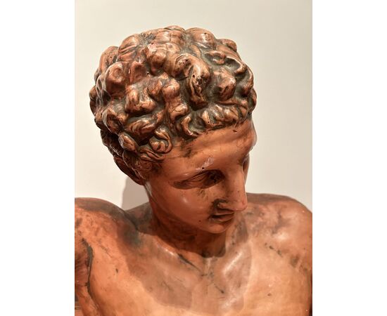 Grande busto di "APOLLO" in terracotta