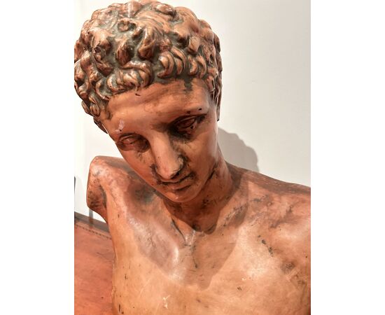 Grande busto di "APOLLO" in terracotta