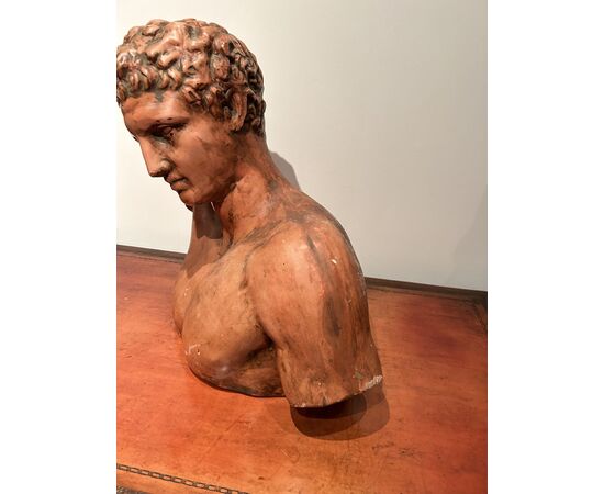 Grande busto di "APOLLO" in terracotta