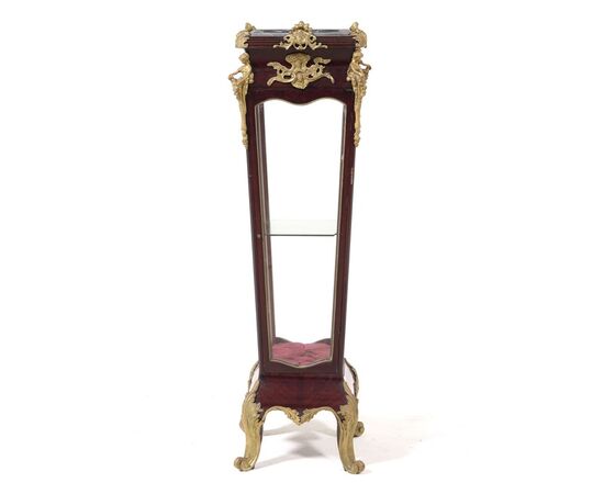 Vetrina Napoleone III Lastronata del XIX Secolo con Bronzi Dorati, 42x42x142 cm