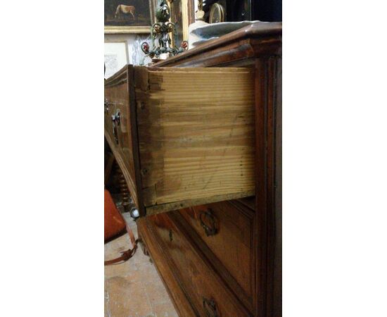 Italian chest of drawers in walnut and olive tree with fillets in maple