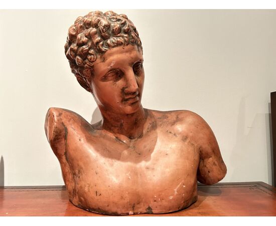 Grande Busto di "APOLLO" in terracotta