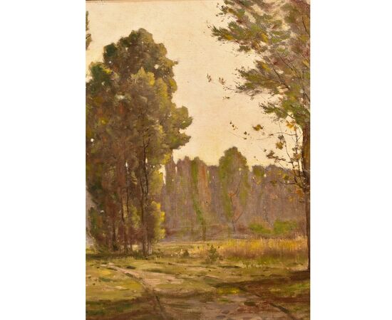 ANCIENT PAINTINGS, LANDSCAPES WITH WOODS, OIL PAINTING ON CANVAS, XIX CENTURY. (QP343)     
