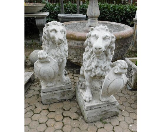dars246 pair of cement lions, early 1900s, h 106 cm wide cm 41 x 53 p     