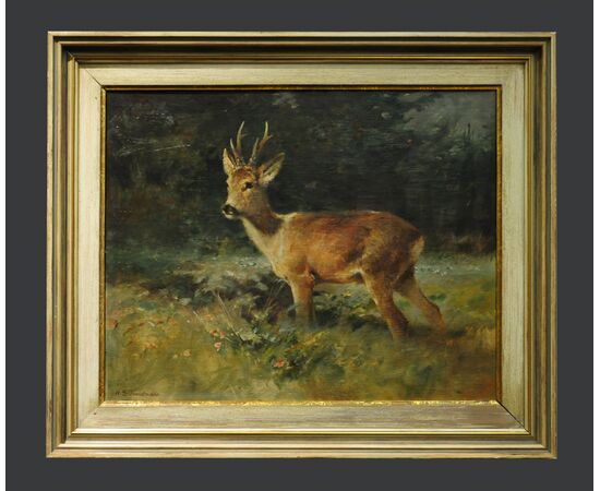 Schmidtmann - Roe deer     