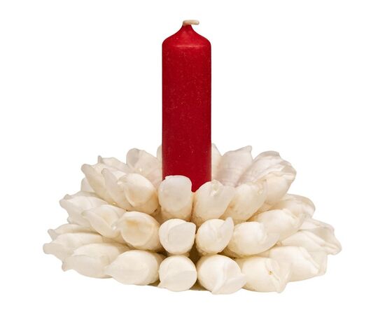 Porta-candele con conchiglie - SN