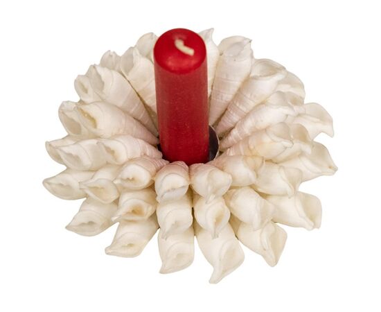 Porta-candele con conchiglie - SN