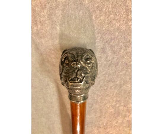 Stick. In metal knob depicting Bulldog&#39;s head.Canna in malacca.     