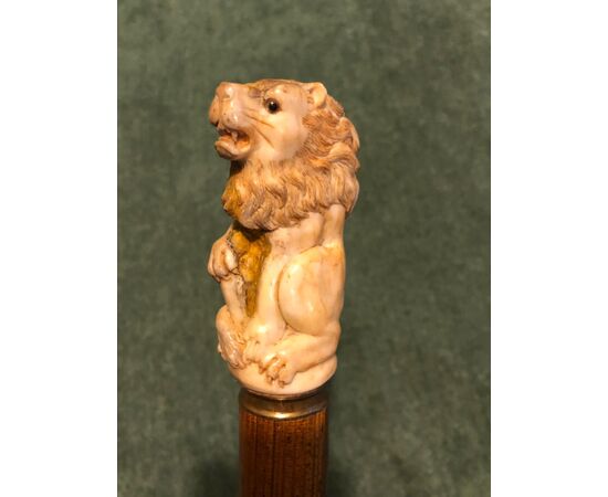 Bastone con pomolo in osso di cervo raffigurante un leone.Canna in bambu’.