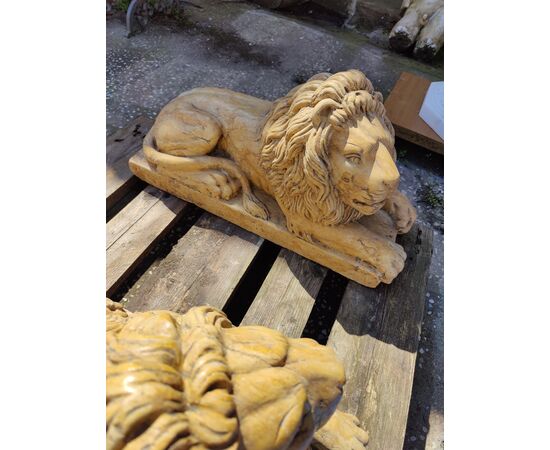 Strepitosa coppia di leoni in marmo giallo reale - 58 x 21 cm - Venezia