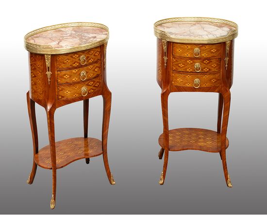 Pair of antique Napoleon III bedside tables in precious exotic woods. France 19th century.
