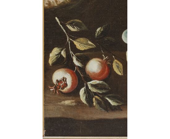 Scuola italiana (XVII) - Natura morta - olio su tela
