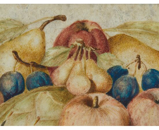 Octavianus Monfort  Torino  1620-1696 -  Natura morta a tempera su pergamena