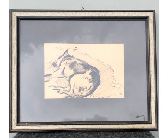 Charcoal drawing depicting a sleeping German Shepherd Dog Gino Marzocchi Bologna (1895-1981).     