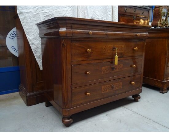 Cassettone in noce massello intarsiato Carlo X Piemonte prima metà 1800