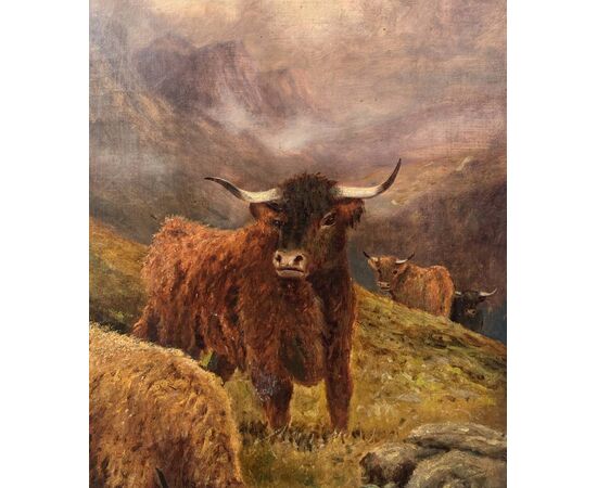R. Watson (British, fine XIX sec.) - Mandria di Highlanders al pascolo.