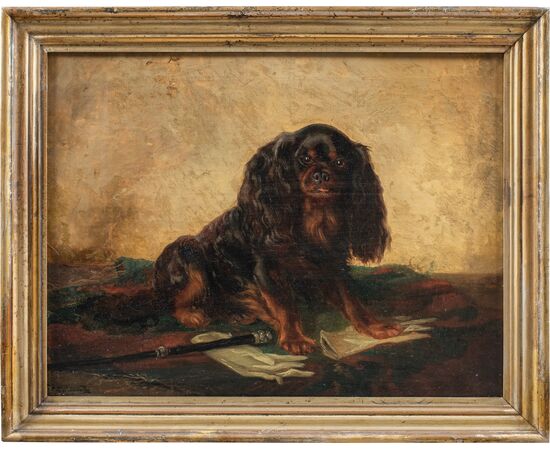 Pittore inglese (XIX sec.) - King Charles Cavalier Spaniel dog.