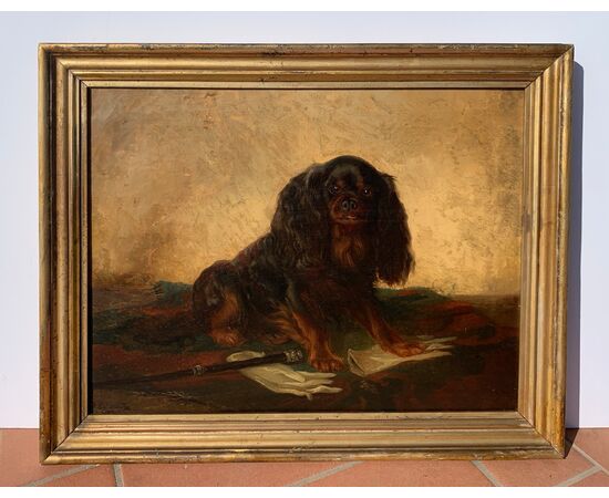 Pittore inglese (XIX sec.) - King Charles Cavalier Spaniel dog.