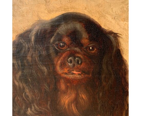 Pittore inglese (XIX sec.) - King Charles Cavalier Spaniel dog.