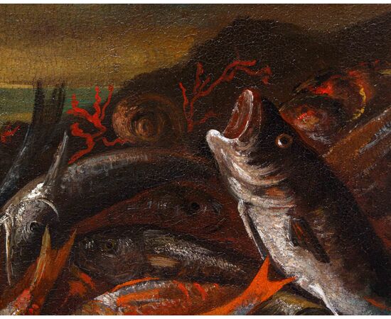 XVII secolo, seguace di Giuseppe Recco (Napoli,1634- Alicante,1695), Natura morta di pesci, calamari, ostriche e coralli sulla spiaggia
