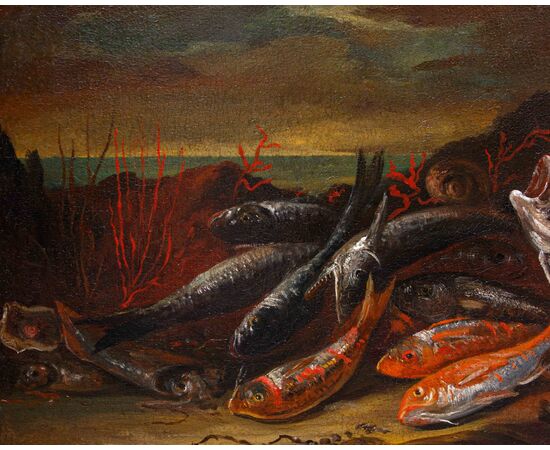 XVII secolo, seguace di Giuseppe Recco (Napoli,1634- Alicante,1695), Natura morta di pesci, calamari, ostriche e coralli sulla spiaggia