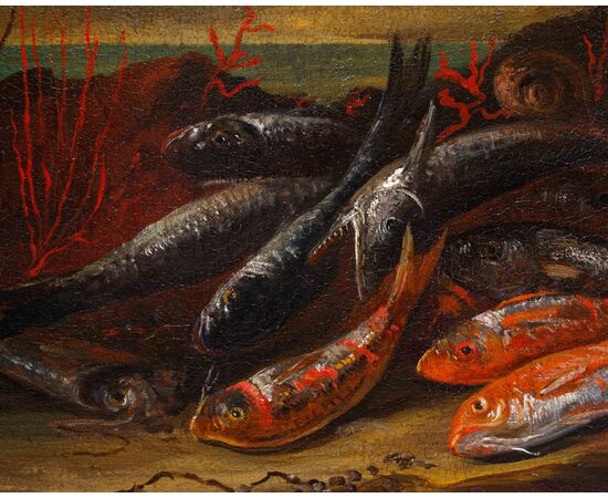 XVII secolo, seguace di Giuseppe Recco (Napoli,1634- Alicante,1695), Natura morta di pesci, calamari, ostriche e coralli sulla spiaggia