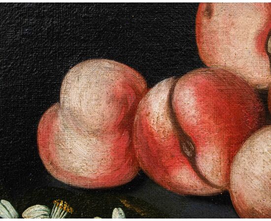 Maestro del XVIII secolo, Natura morta con pappagallo, frutta e fiori