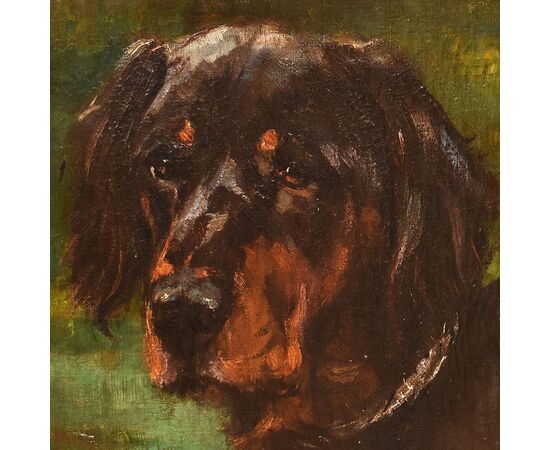 DIPINTI ANTICHI, RITRATTI DI CANI, SETTER GORDON, OLIO SU TELA, EPOCA OTTOCENTO. (QA660)