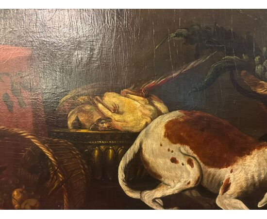 PAN432 - Dipinto olio su tela che ritrae un gatto e un cane che combattono, epoca '6/'700, misure cm L 200 x H 125