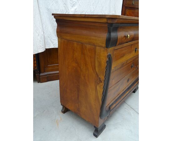 Cassettone in noce vercellese Carlo X scolpito e filettato 1820 Piemonte
