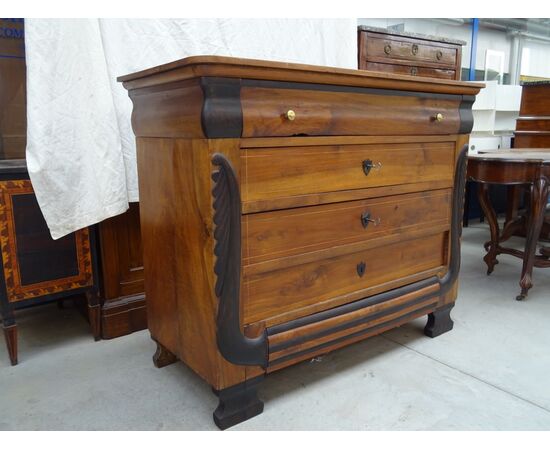 Cassettone in noce vercellese Carlo X scolpito e filettato 1820 Piemonte