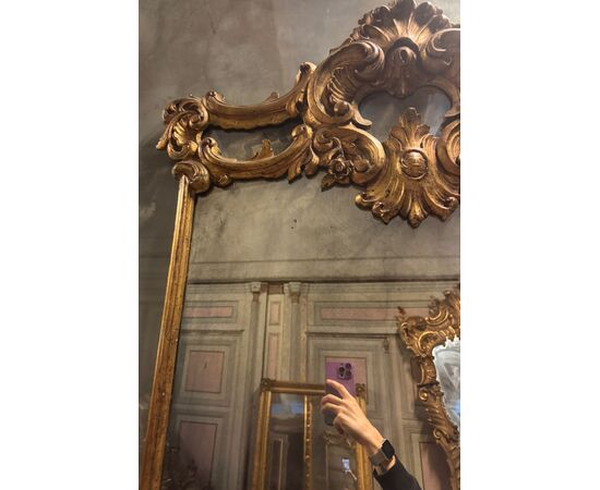SPECC560 - Gilded and sculpted mirror with shells, 19th century, dimensions cm W 85 x H 138