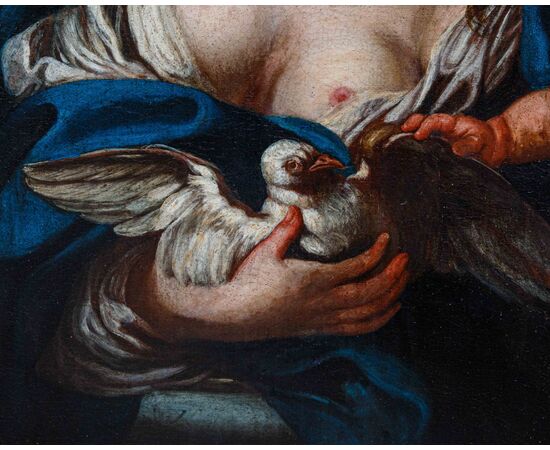 XVII Secolo, Scuola emiliana, Venere, Amore e colomba