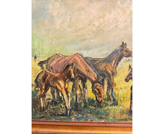 Antico dipinto olio su tela - Cavalli al pascolo - 1900, 82x62cm